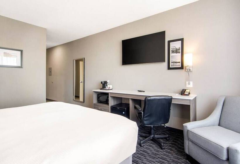 适合残疾人士使用的带超级大床的标准间, Comfort Inn & Suites