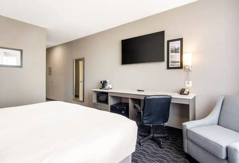 身障者適用キングサイズベッドルーム, Comfort Inn & Suites