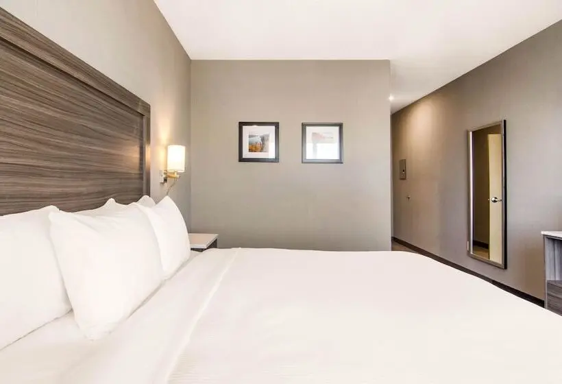 身障者適用キングサイズベッドルーム, Comfort Inn & Suites