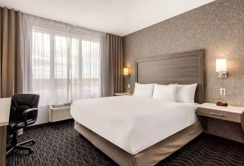 身障者適用キングサイズベッドルーム, Comfort Inn & Suites