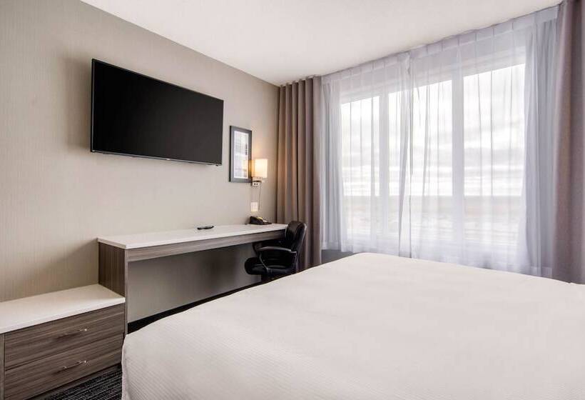 适合残疾人士使用的带超级大床的标准间, Comfort Inn & Suites