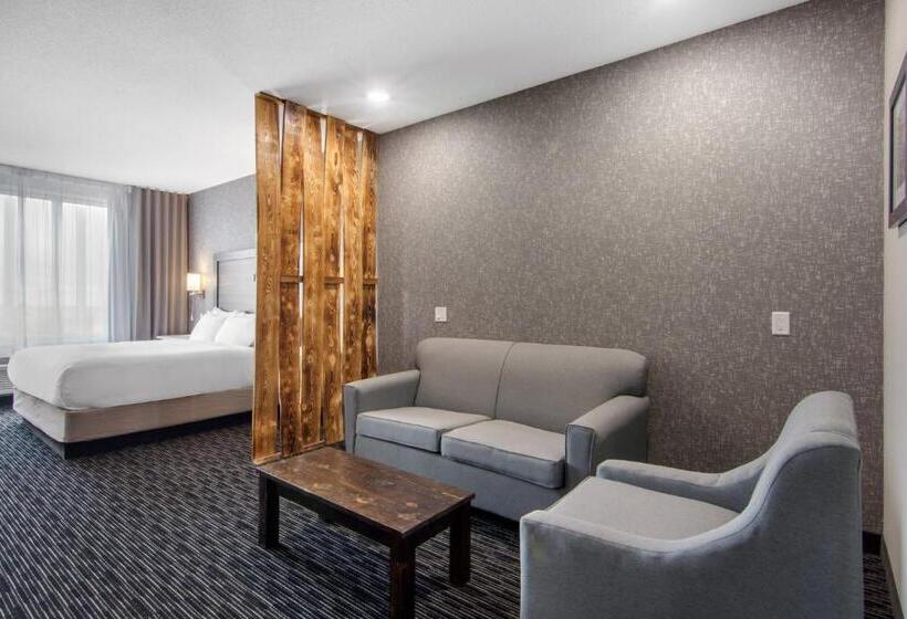 带双人大床的行政管理套房, Comfort Inn & Suites