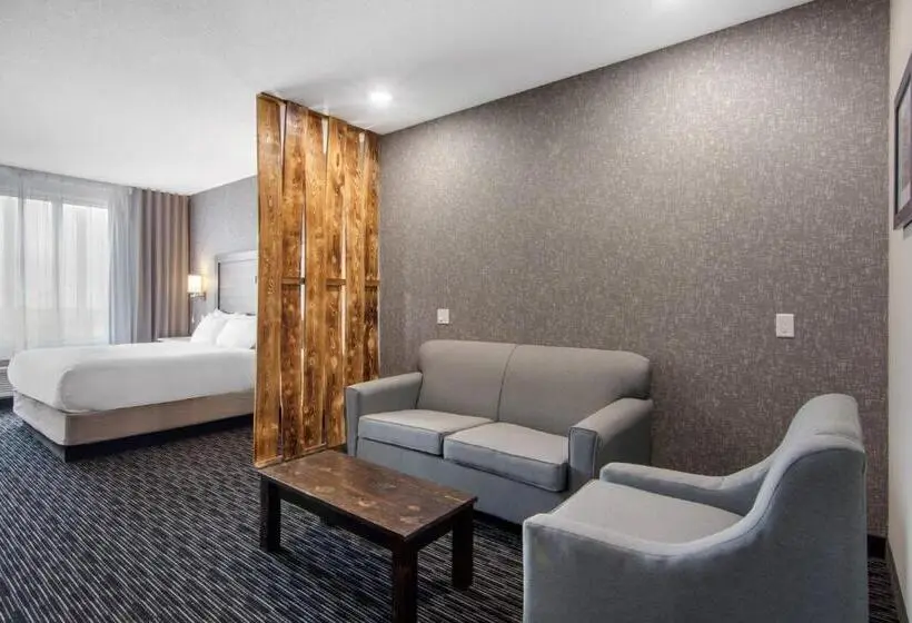 キングサイズベッドのエクゼクティブ, Comfort Inn & Suites