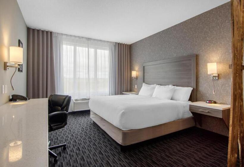 带双人大床的行政管理套房, Comfort Inn & Suites