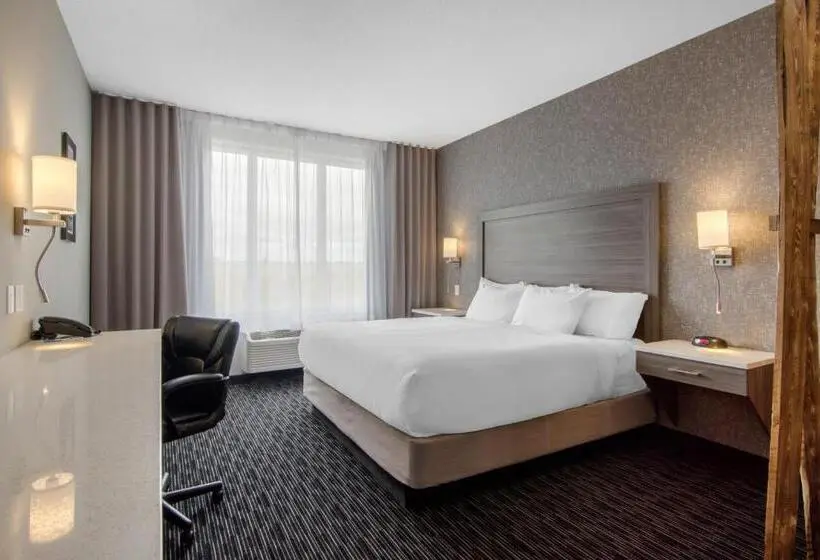 キングサイズベッドのエクゼクティブ, Comfort Inn & Suites