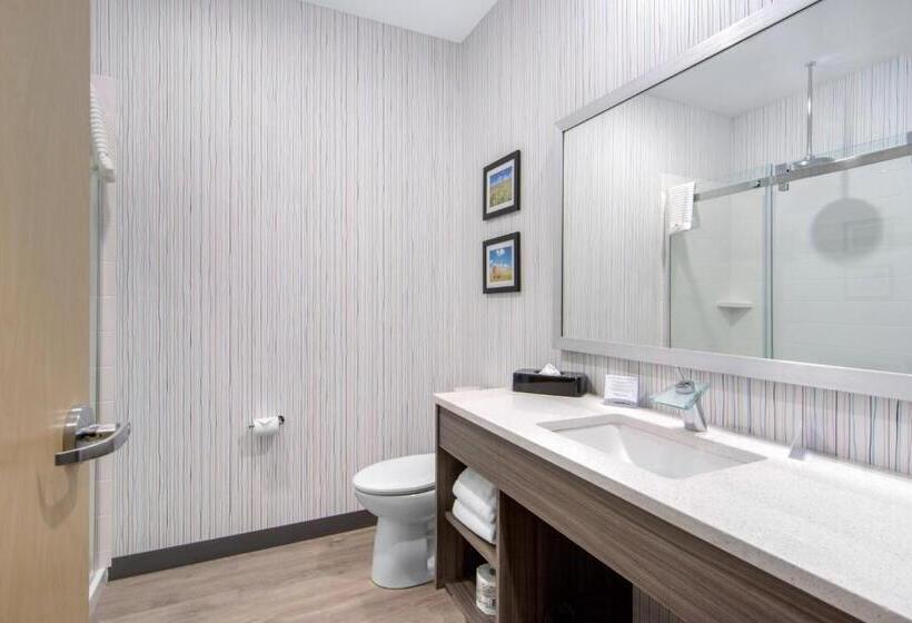 带双人大床的行政管理套房, Comfort Inn & Suites
