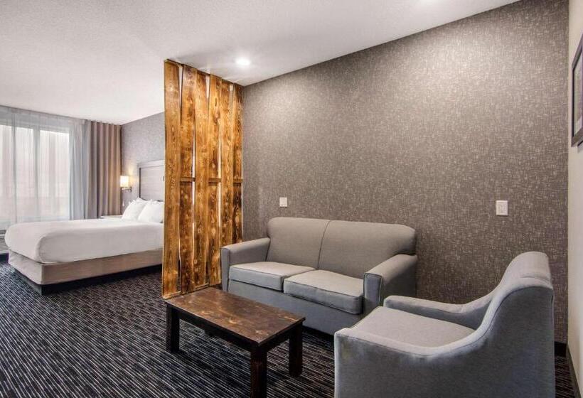 带双人大床的行政管理套房, Comfort Inn & Suites