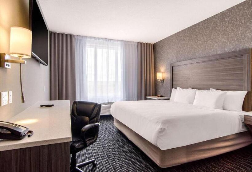 带双人大床的行政管理套房, Comfort Inn & Suites