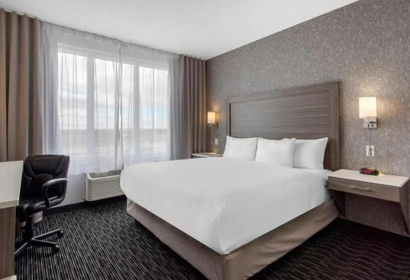 キングサイズベッドのスタンダードルーム, Comfort Inn & Suites