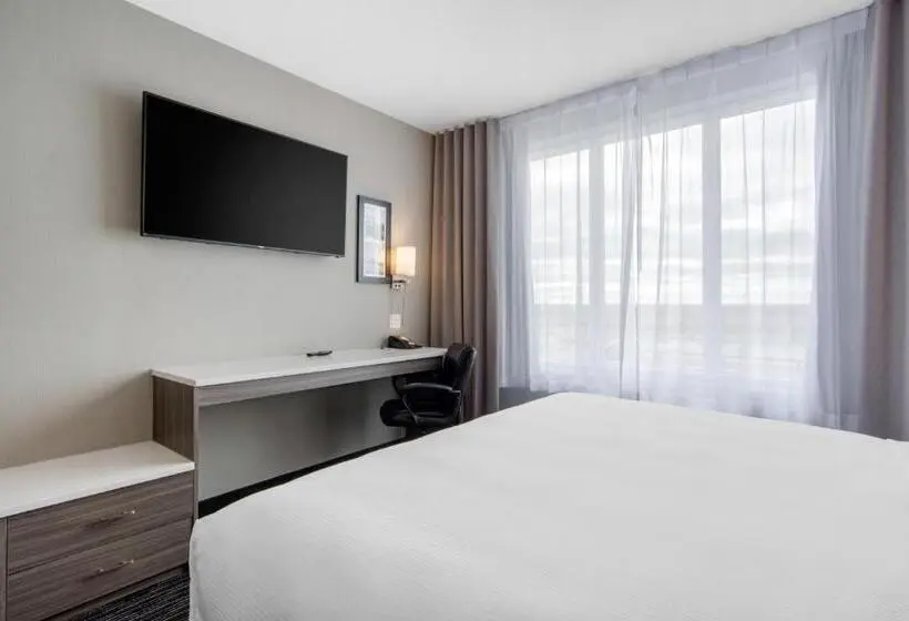 キングサイズベッドのスタンダードルーム, Comfort Inn & Suites