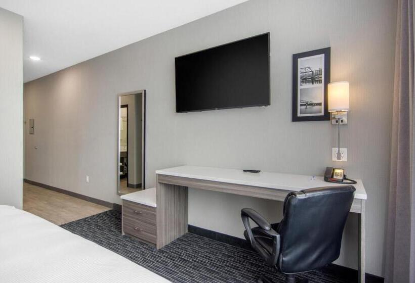 带大床的标准间, Comfort Inn & Suites