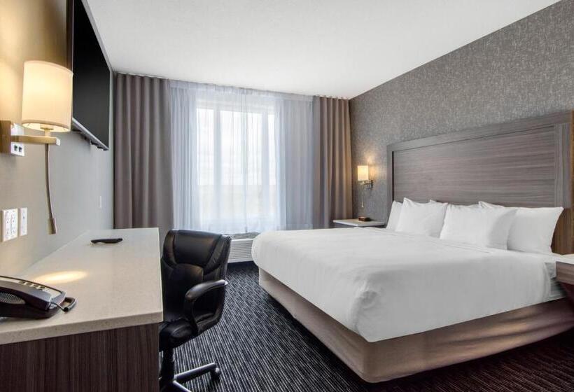 总统套房, Comfort Inn & Suites