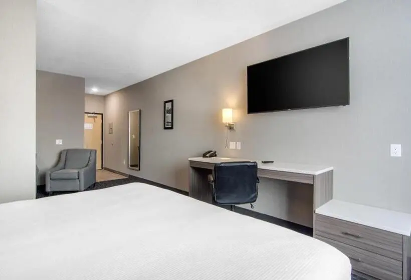 プレジデントスイートルーム, Comfort Inn & Suites