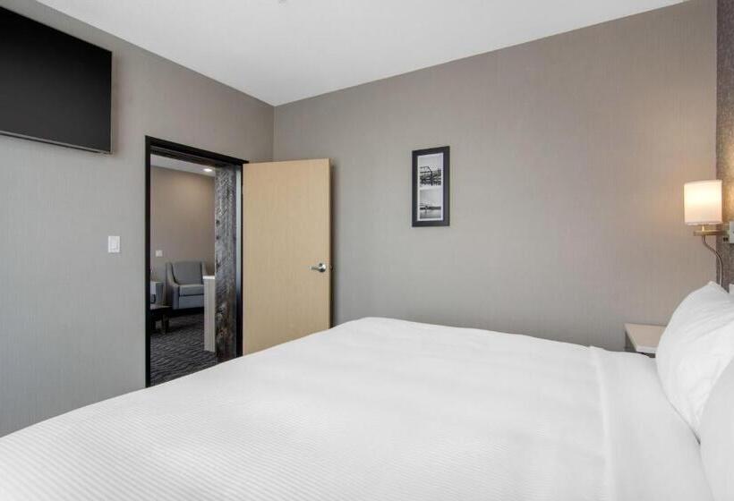 高级套房, Comfort Inn & Suites