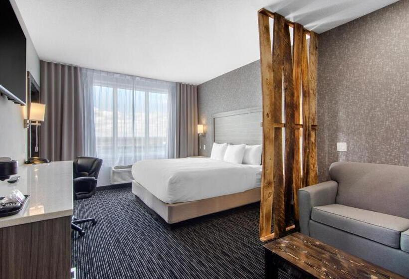 家庭套房, Comfort Inn & Suites