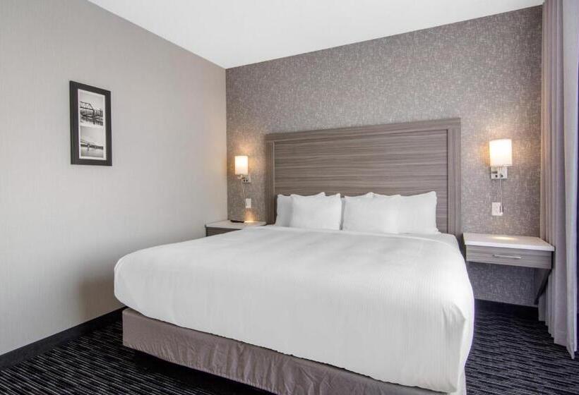 家庭套房, Comfort Inn & Suites