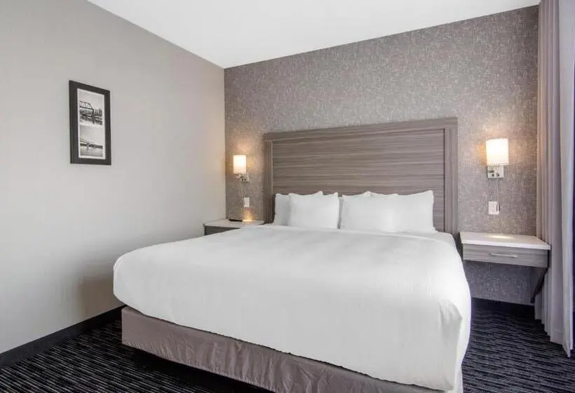 スイート（家族用）, Comfort Inn & Suites