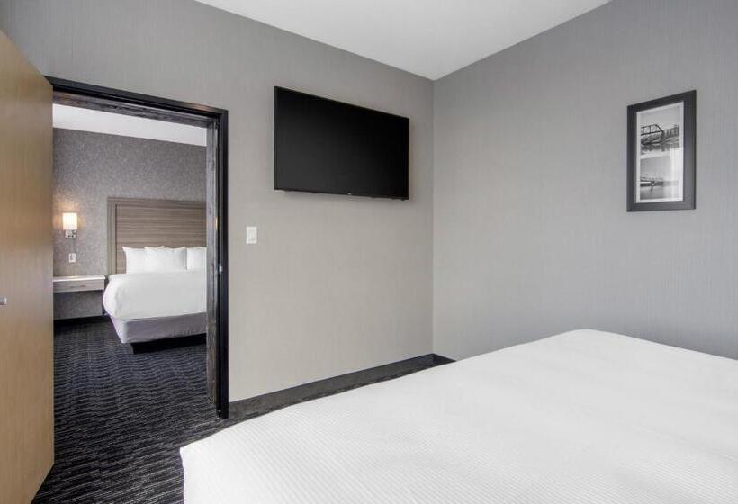 家庭套房, Comfort Inn & Suites