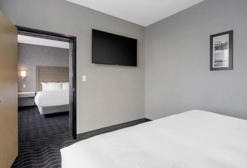 スイート（家族用）, Comfort Inn & Suites