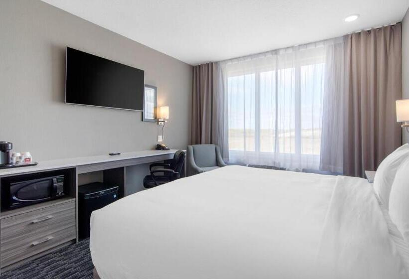 适合残疾人士使用的带超级大床的标准间, Comfort Inn & Suites