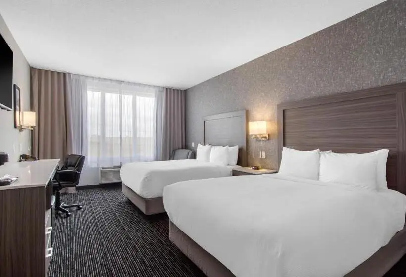 スタンダードルーム, Comfort Inn & Suites