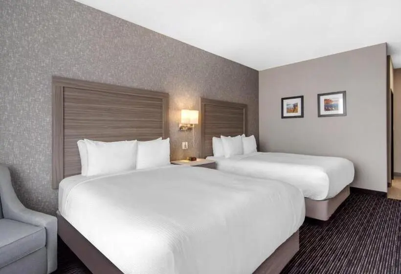 スタンダードルーム, Comfort Inn & Suites