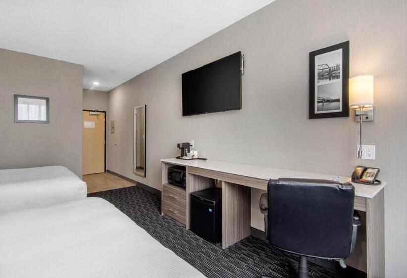 标准间, Comfort Inn & Suites