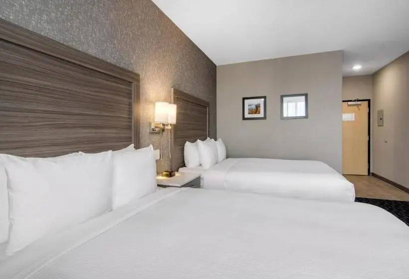 スタンダードルーム, Comfort Inn & Suites