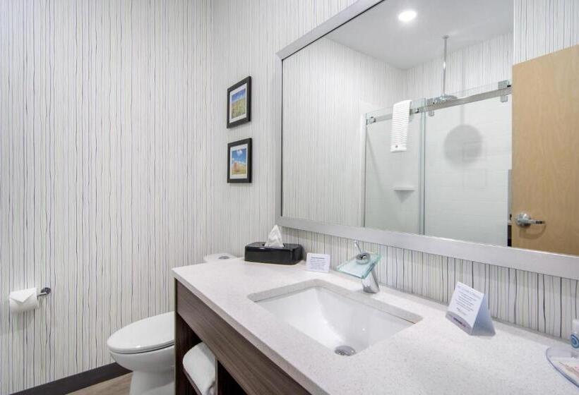 标准间, Comfort Inn & Suites