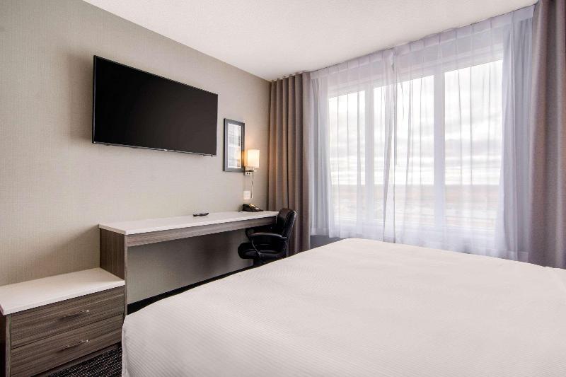 带大床的标准间, Comfort Inn & Suites