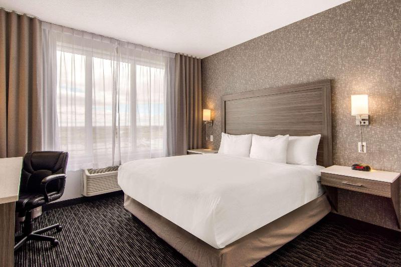 带大床的标准间, Comfort Inn & Suites