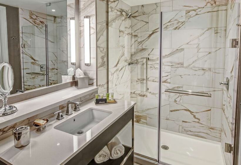 Quarto Estandar Cama King para Deficientes Físicos, Hilton Nashville Green Hills