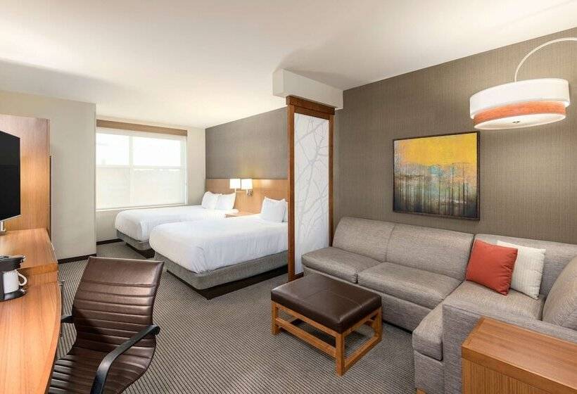 غرفة قياسية لذوى الاحتياجات الخاصة, Hyatt Place Greenville/downtown