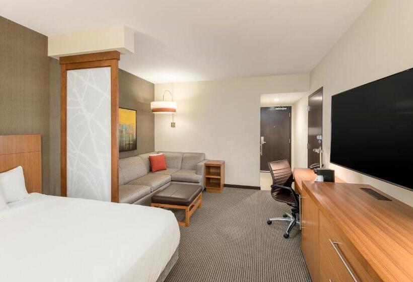 غرفة قياسية سرير كينج, Hyatt Place Greenville/downtown