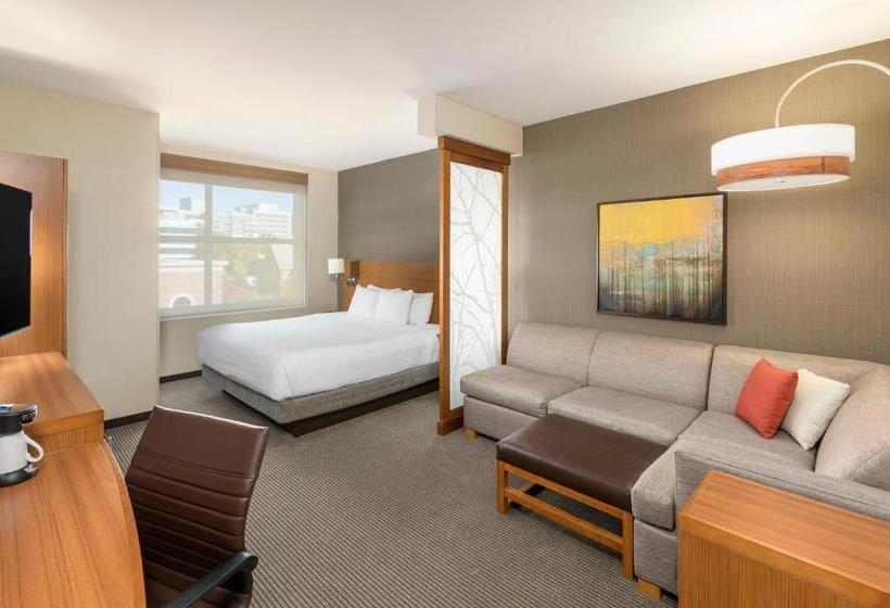 스탠다드 룸 킹사이즈 침대, Hyatt Place Greenville/downtown