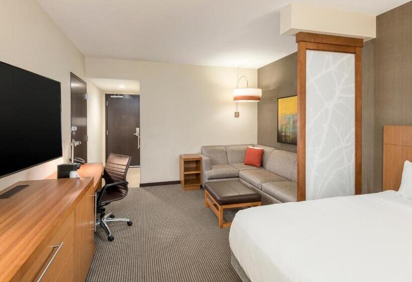 غرفة قياسية سرير كينج, Hyatt Place Greenville/downtown