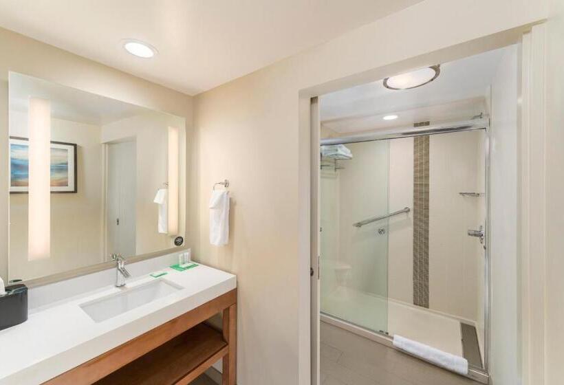 غرفة قياسية سرير كينج, Hyatt Place Greenville/downtown