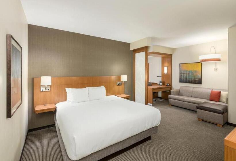 스탠다드 룸 킹사이즈 침대, Hyatt Place Greenville/downtown