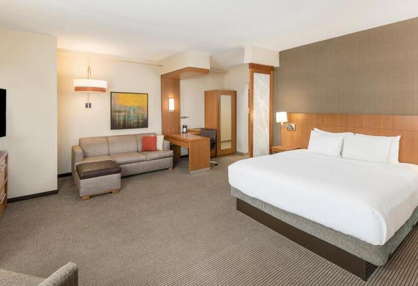 غرفة قياسية سرير كينج, Hyatt Place Greenville/downtown