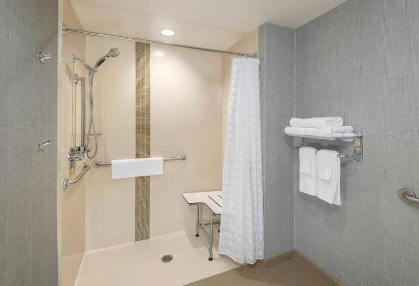 장애인을 위한 스위트, Hyatt Place Greenville/downtown