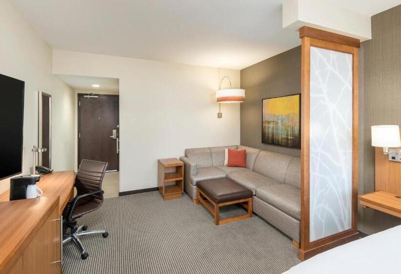 جناح لذوى الاحتياجات الخاصة, Hyatt Place Greenville/downtown