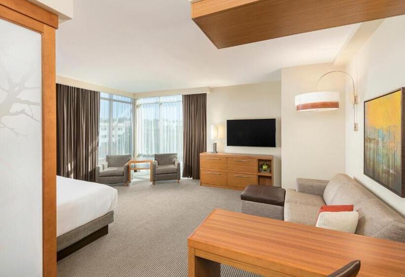 غرفة قياسية سرير كينج, Hyatt Place Greenville/downtown