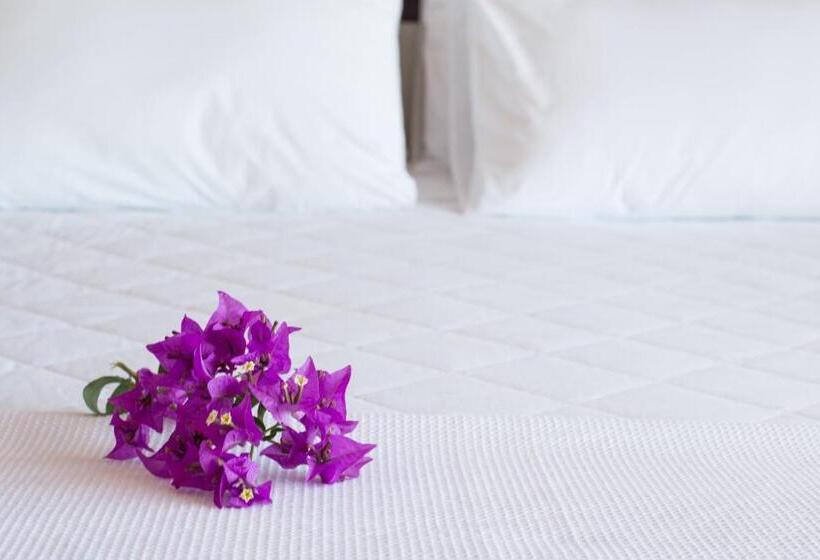 标准间, Ilha Branca Exclusive