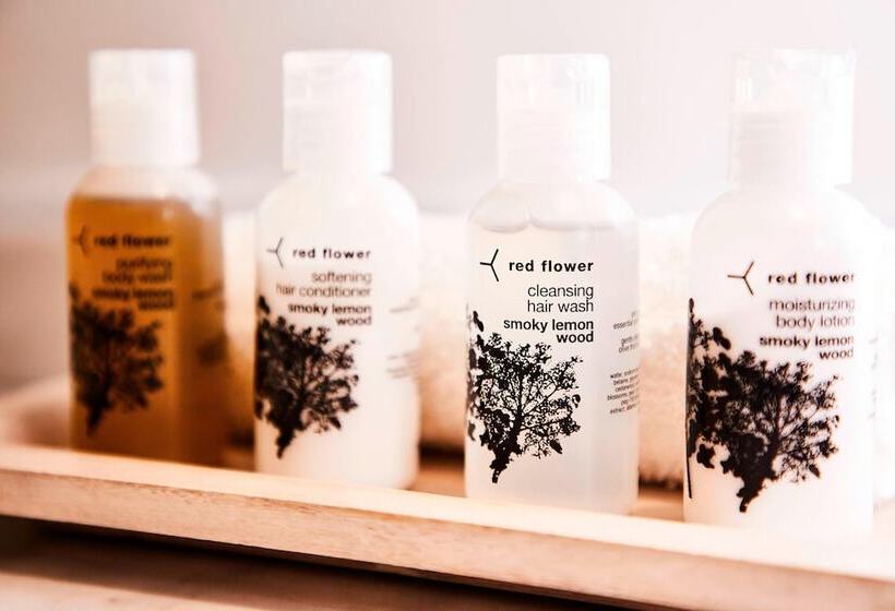 스탠다드 도시전망 룸, The Alida, Savannah, A Tribute Portfolio