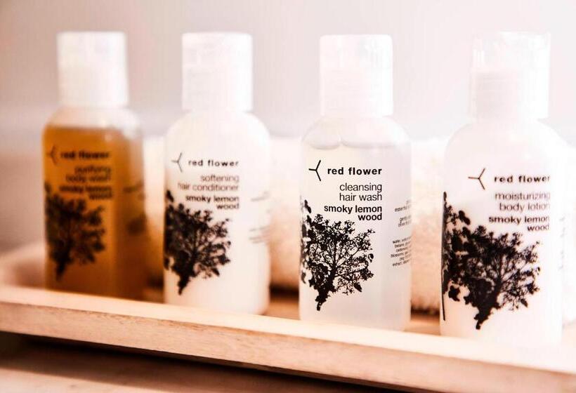 스탠다드 도시전망 룸, The Alida, Savannah, A Tribute Portfolio