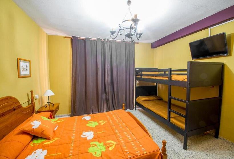 اتاق استاندارد چهار تخته, La Casona Del Pinar Albergue