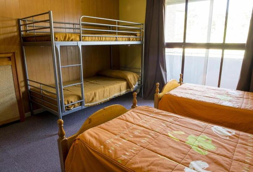 اتاق استاندارد چهار تخته, La Casona Del Pinar Albergue