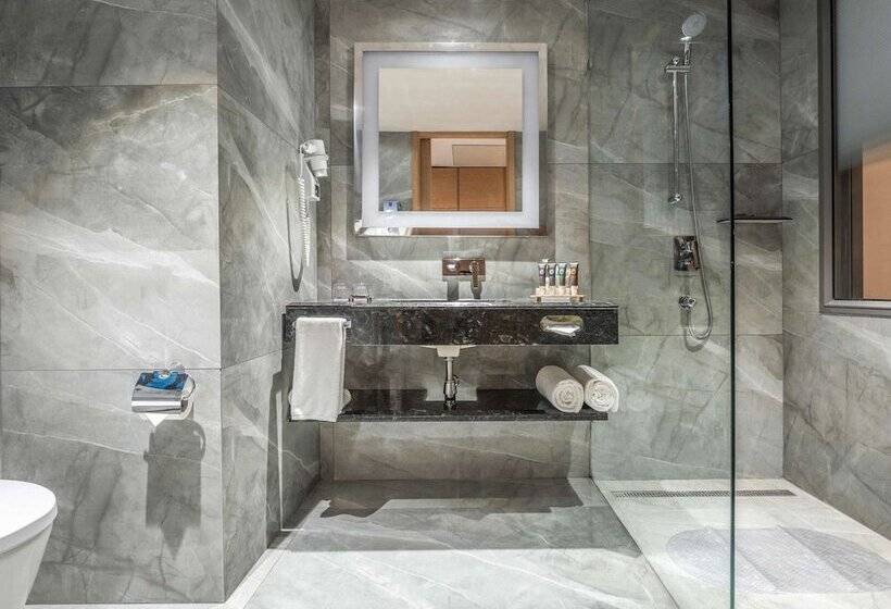 חדר פרמיום, Novotel Vijayawada Varun