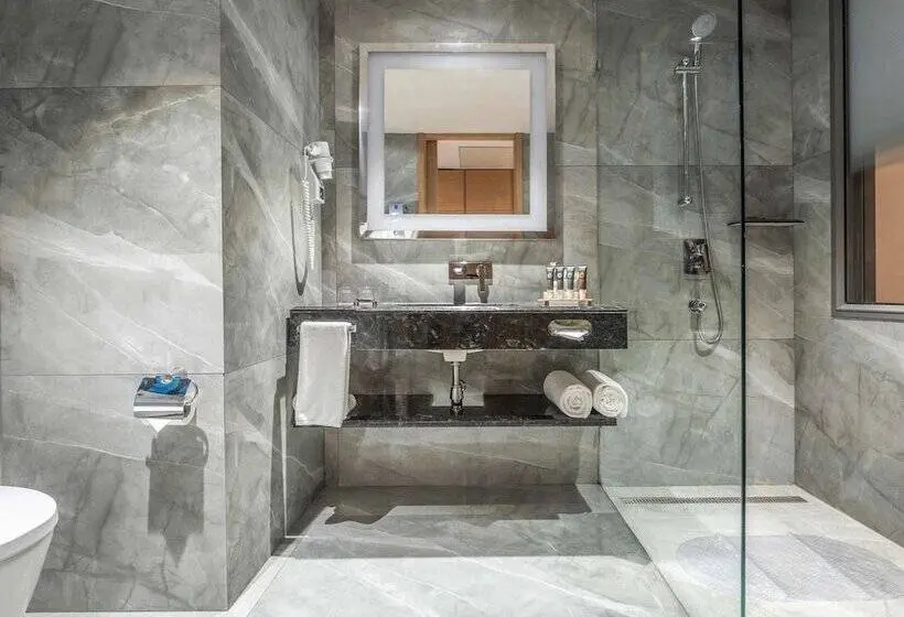 プレミアムルーム, Novotel Vijayawada Varun