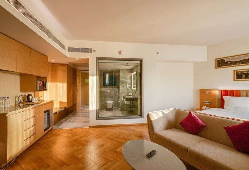 חדר פרמיום, Novotel Vijayawada Varun